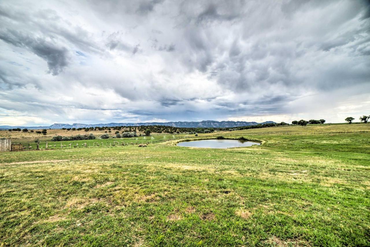 Walkout Apartment With Mtn View On Cortez Ranch Esterno foto